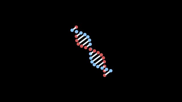 DNA 3D and 2D animation on without any background. moving deoxyribonucleic acid helix. Science and medical technology concept. transparent black background