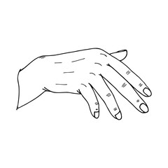 Hand, fingers. Vector stock illustration, isolate on white background, outline. Hand drawing.
