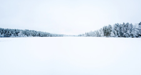 Panoramic view of winter lake in forest surrounded by snow covered trees in Sweden 