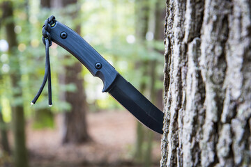 Tactical army knife stuck in a tree stump in a forest - obrazy, fototapety, plakaty