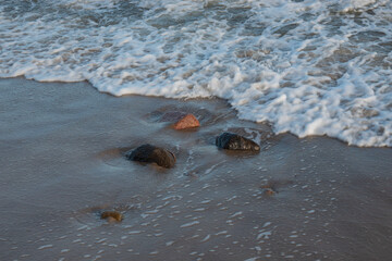 Fototapeta na wymiar kamienie plaża,fala,