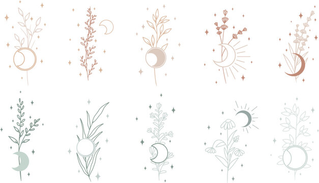 Set of magical flowers and plants with moon and sparkles. Mystical, celestial vector art collection