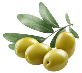 Delicious olives cut out