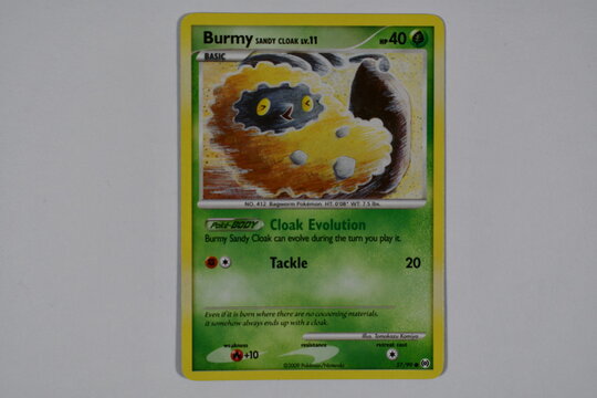 Pokemon trading card, Burmy.