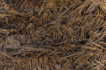 hay bale in the field