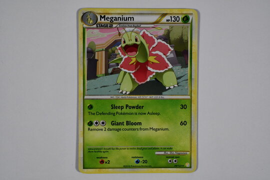Pokemon trading card, Meganium.