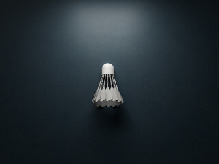 Badminton