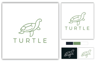 Turtle logo design