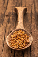 Trigonella foenum-graecum - Dried organic fenugreek seeds in the spoon