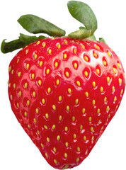 Ripe Strawberry - Isolated