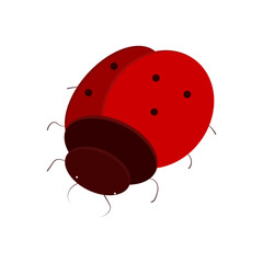 ladybug insect vector illustration, tattoo outline, frog, ladybug, dragonfly, beetle, bee, butterfly, cutting