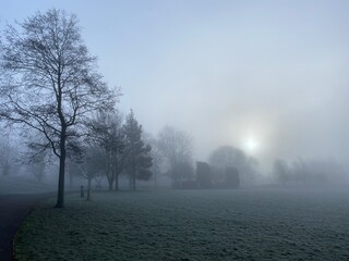 Landscape shot of a park covered in morning mist