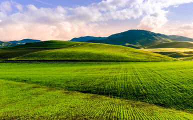 green field in countryside at sunset in the evening light. beautiful spring landscape in the mountains. grassy field and hills. rural scenery