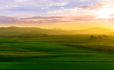 green field in countryside at sunset in the evening light. beautiful spring landscape in the mountains. grassy field and hills. rural scenery