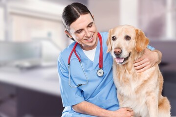 Veterinarian doctor with cute domestic dog in clinic
