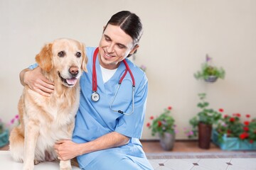 Veterinarian doctor with cute domestic dog in clinic