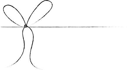 knot design illustration isolated on transparent background