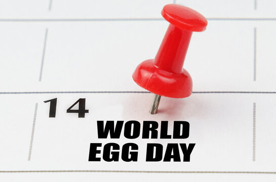 On the calendar grid, the date and name of the holiday - World Egg Day - Powered by Adobe