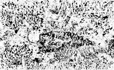 Rough black and white texture vector. Distressed overlay texture. Grunge background. Abstract textured effect. Vector Illustration. Black isolated on white background. EPS10