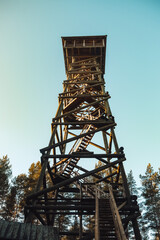 Fototapeta na wymiar The nature of Latvia, a walk and a trip to the forest, a lookout tower in the forest