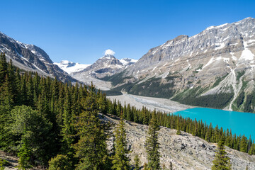 Peyto Lake in Banff National Park, in the summer sunshine