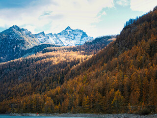 Autumn by the Ceresole Reale lake. Alps, Italy.