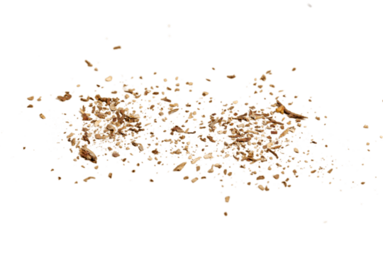 A breaking a cigarette, Stop smoking concept
