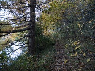 Afternoon at Villa lake during autumn. Alps, Aosta Valley, Italy  (Challand-Saint-Victor)