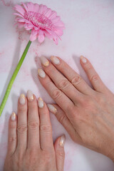 Hands of a woman with imperfect manicure with with pink gel polish and gerbera