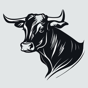 Vector image of an bull head on a white background
