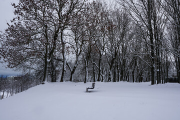 Winter landscape with a bench in the front and trees on the back with a lot of snow. Tallinn, Estonia. February 2023