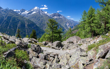Fototapeta na wymiar The Walliser alps peaks - Bishorn, Weisshorn, Schalihorn, and Rothorn over the Mattertal valley
