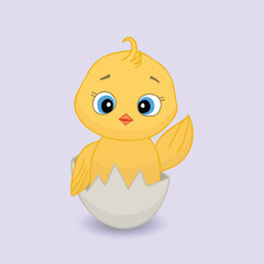 Funny and cute yellow newborn chicken in broken egg shell. Cute vector