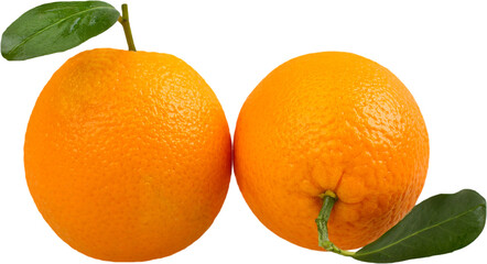 Fresh sweet orange fruit clipping path with leaves