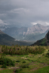 Glacier National Park in Montana Valley View