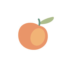 hand drawn apricot illustration isolated on white background, clip art fruit 