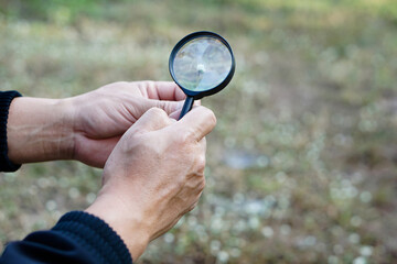 Closeup hand hold magnify glass to explore tiny grass flowers.   Concept, examine, explore, research nature or biological organisms. Study about environment and plants. Science tool                   