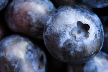 Blueberry macro background texture photo. Purple and blue color. Design template with copy space. Fresh organic berries. Vegan, vegetarian, healthy diet concept. Farmers market, grocery store produce.