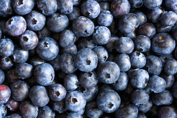 Blueberry background texture food photo. Purple and blue color. Design template with copy space. Fresh organic berries. Vegan, vegetarian, healthy diet concept. Farmers market, grocery store produce.