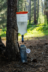 Gravity Water Filter Hangs From Tree