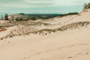Fototapeta na wymiar Looking across the sand dunes of Sleeping Bear Dunes National Lakeshore and toward Lake Michigan