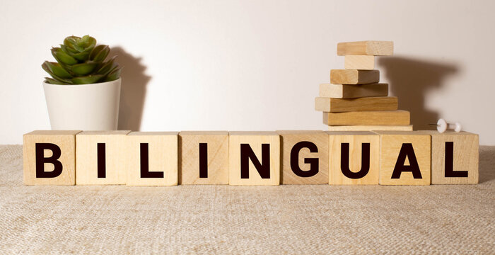 Bilingual. Textbooks, stationery and a wooden stamp on the table.