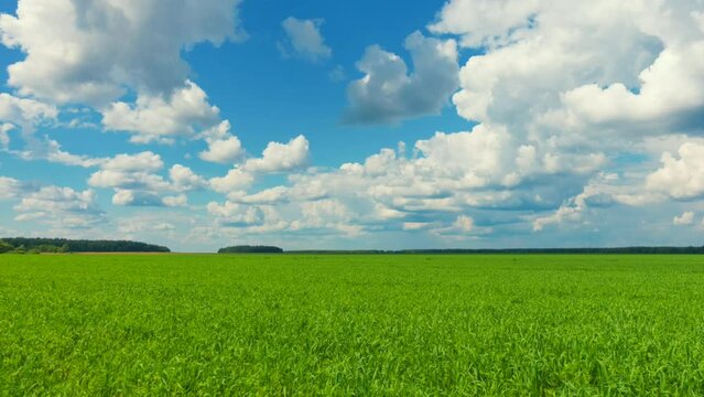 Time lapse of beautiful landscape with blue sky and fresh green grass