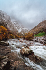 landscape in the morning fog