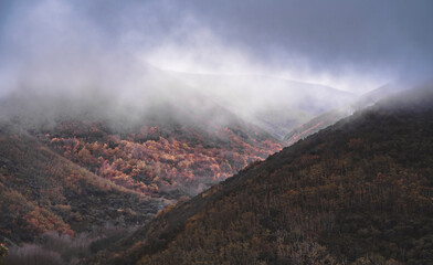 landscape with mountains in the morning
