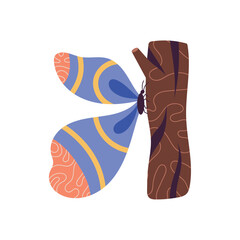 beauty butterfly in trunk