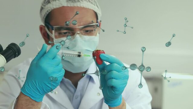 Animation of molecular structures over asian male scientist injecting a strawberry at laboratory