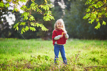 Adorable preschooler girl enjoying sunny fall day in park or forest