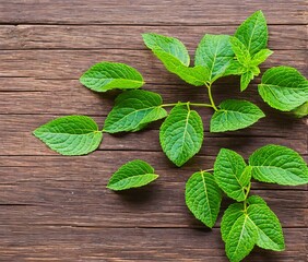 fresh mint leaves on wooden background © ozun