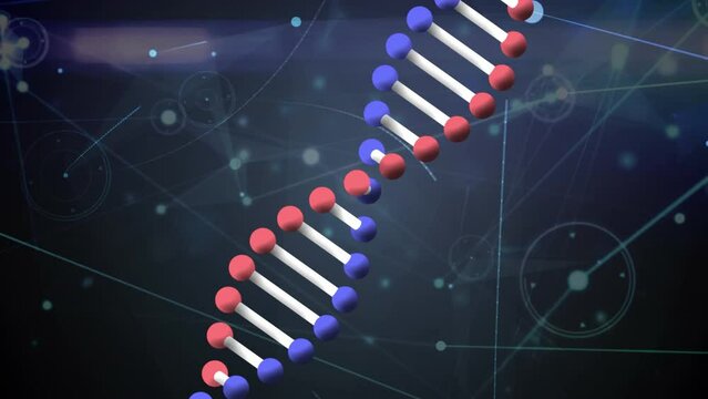 Animation of dna structure spinning over network of connections and spots of light